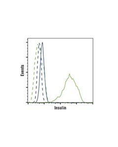 Cell Signaling Insulin (C27c9) Rabbit mAb