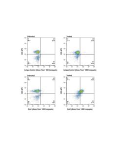 Cell Signaling Ezh2 (D2c9) Xp Rabbit mAb (Alexa Fluor 488 Conjugate)