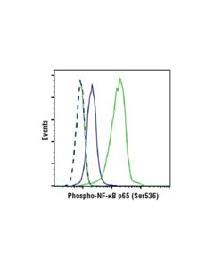 Cell Signaling Phospho-Nf-Kappab P65 (Ser536) (93h1) Rabbit mAb