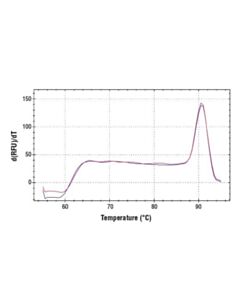 Cell Signaling Simplechip Human Mrpl36 Promoter Primers