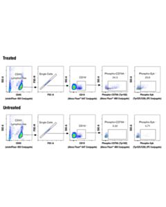 Cell Signaling Human B Cell Signaling Flow Cytometry Panel