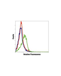 Cell Signaling Phospho-Pdgf Receptor Beta (Tyr751) Antibody