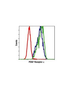 Cell Signaling Pdgf Receptor Alpha Antibody