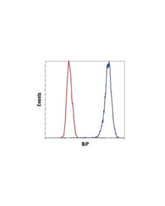 Cell Signaling Bip (C50b12) Rabbit mAb