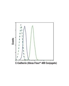 Cell Signaling E-Cadherin (24e10) Rabbit mAb (Alexa Fluor 488 Conjugate)