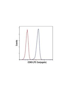 Cell Signaling Cdk9 (C12f7) Rabbit mAb (PE Conjugate)