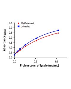 Cell Signaling Total Akt3 Matched Antibody Pair