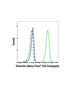 Cell Signaling Vimentin (D21h3) Xp ® Rabbit mAb (Alexa Fluor ® 532 Conjugate)