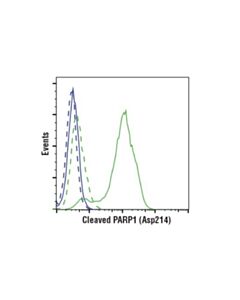 Cell Signaling Cleaved-Parp (Asp214) (E2t4k) Mouse mAb