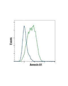 Cell Signaling Annexin A1 (D5v2t) Xp Rabbit mAb