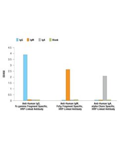 Cell Signaling Anti-Human Igg, Fc Gamma Fragment Specific, Hrp-Linked Antibody