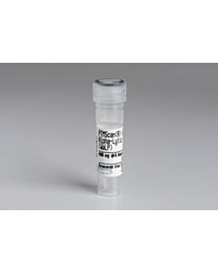 Cell Signaling Ptmscan Wild Type Alpha-Lytic Protease (Walp)
