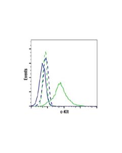Cell Signaling C-Kit (Ab81) Mouse mAb