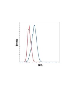 Cell Signaling Ikkepsilon (D61f9) Xp Rabbit mAb