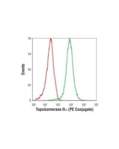 Cell Signaling Topoisomerase Iialpha (D10g9) Xp Rabbit mAb (PE Conjugate)