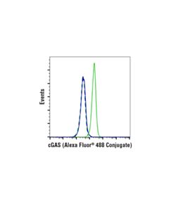 Cell Signaling Cgas (E5v3w) Rabbit mAb (Alexa Fluor 488 Conjugate)