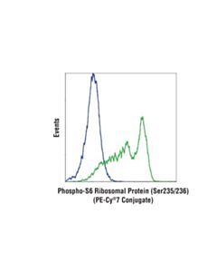 Cell Signaling Phospho-S6 Ribosomal Protein (Ser235/236) (D57.2.2e) Xp Rabbit mAb (Pe-Cy 7 Conjugate)