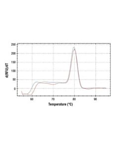 Cell Signaling Simplechip Human Asxl1 Upstream Primers