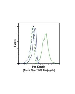 Cell Signaling Pan-Keratin (C11) Mouse mAb (Alexa Fluor 555 Conjugate)