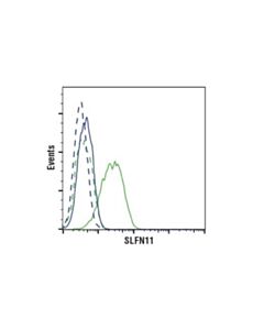 Cell Signaling Slfn11 (D8w1b) Rabbit mAb