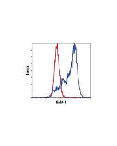 Cell Signaling Gata-1 (D52h6) Xp Rabbit mAb