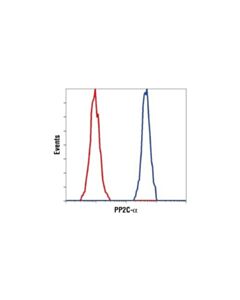 Cell Signaling Pp2c-Alpha (D18c10) Xp Rabbit mAb
