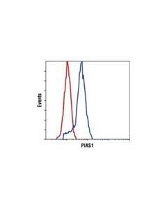 Cell Signaling Pias1 (D33a7) Xp Rabbit mAb