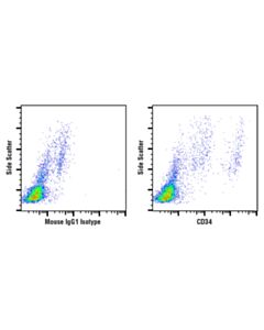 Cell Signaling Cd34 (Ico115) Mouse mAb
