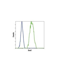 Cell Signaling Sox2 (D6d9) Xp Rabbit mAb