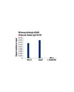 Cell Signaling Nanog Antibody