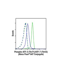 Cell Signaling Phospho-Atf-2 (Thr71)/Atf-7 (Thr53) (A8j7p) Rabbit mAb (Alexa Fluor® 647 Conjugate)