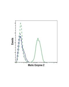 Cell Signaling Malic Enzyme 2 (E1n3f) Xp Rabbit mAb