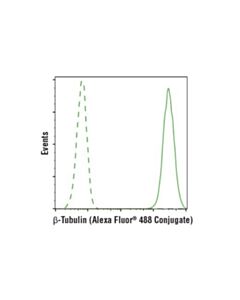 Cell Signaling Beta-Tubulin (9f3) Rabbit mAb (Alexa Fluor 488 Conjugate)