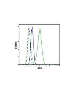 Cell Signaling Anti-Alk Xp Antibody, 100 Ul Net Content, Monoclonal, Rabbit Host Species