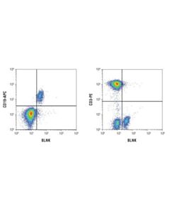 Cell Signaling Blnk (D3p2h) Xp Rabbit mAb