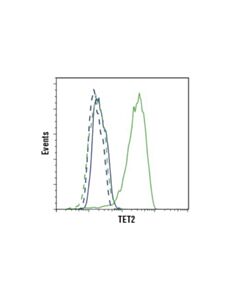 Cell Signaling Tet2 (D6c7k) Rabbit mAb (Mouse Specific)