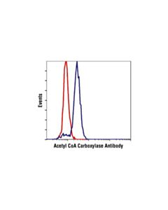 Cell Signaling Acetyl-Coa Carboxylase Antibody