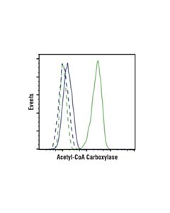 Cell Signaling Acetyl-Coa Carboxylase (C83b10) Rabbit mAb