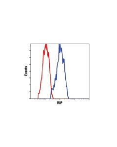 Cell Signaling Phosphoplus Rip (Ser166) Antibody Duet
