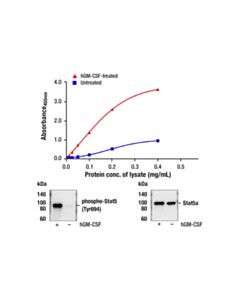 Cell Signaling Pathscan ® RP Phospho-Stat5a (Tyr694) Sandwich ELISA Kit