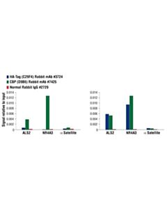 Cell Signaling Ha-Tag (C29f4) Rabbit mAb