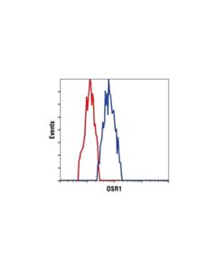 Cell Signaling Osr1 Antibody