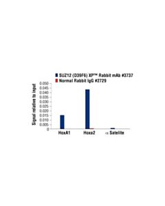 Cell Signaling Suz12 (D39f6) Xp Rabbit mAb