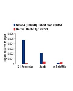 Cell Signaling Smad4 (D3m6u) Rabbit mAb