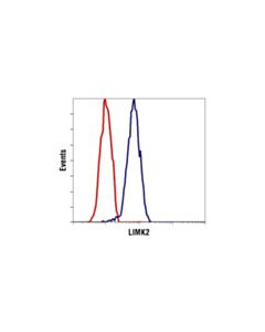 Cell Signaling Limk2 (8c11) Rabbit mAb