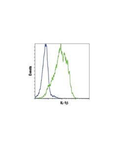 Cell Signaling Senescence Associated Secretory Phenotype (Sasp) Antibody Sampler Kit