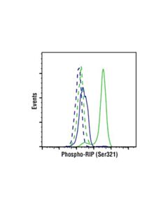Cell Signaling Phospho-Rip (Ser321) (E9k2a) Rabbit mAb