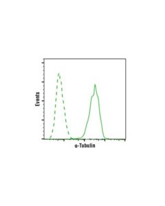 Cell Signaling Alpha-Tubulin (Dm1a) Mouse mAb