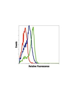 Cell Signaling Phospho-Bcr (Tyr177) Antibody
