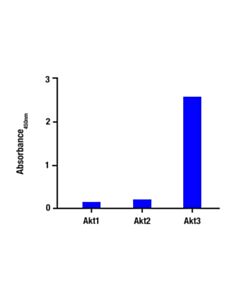 Cell Signaling Phospho-Akt3 (Ser472) Matched Antibody Pair